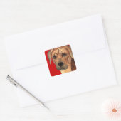 Rhodesian Ridgeback Farbblock Quadratischer Aufkleber (Umschlag)