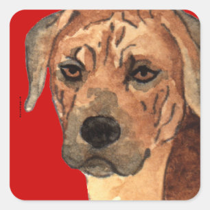 Rhodesian Ridgeback Farbblock Quadratischer Aufkleber