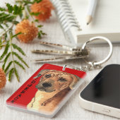 Rhodesian Ridgeback Farbblock Schlüsselanhänger (Vorderseite rechts)