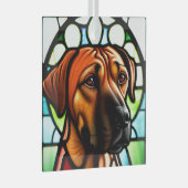 Rhodesian Ridgeback "Festes Glas" Ornament Aus Glas (Vorderseite Rechts)