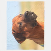 RHODESIAN RIDGEBACK FLEECEDECKE (Vorderseite)