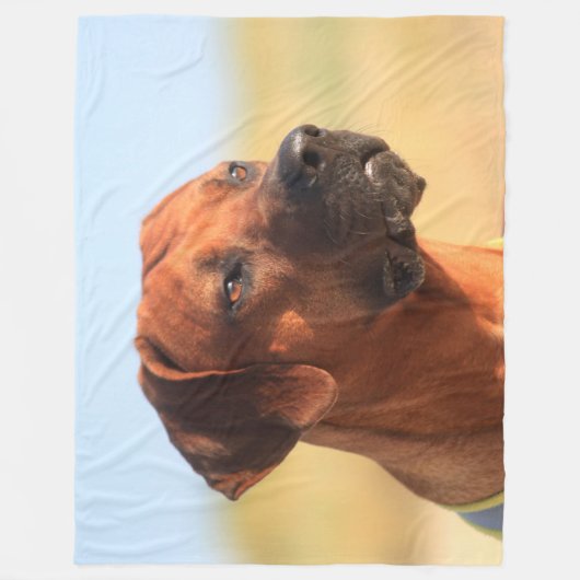 RHODESIAN RIDGEBACK FLEECEDECKE (Vorderseite)
