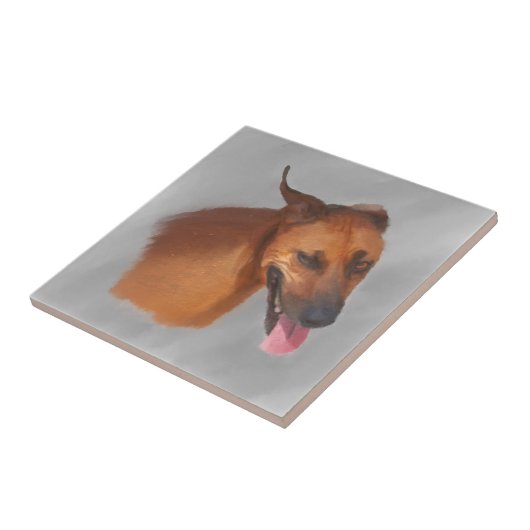 Rhodesian Ridgeback Fliese (Seite)