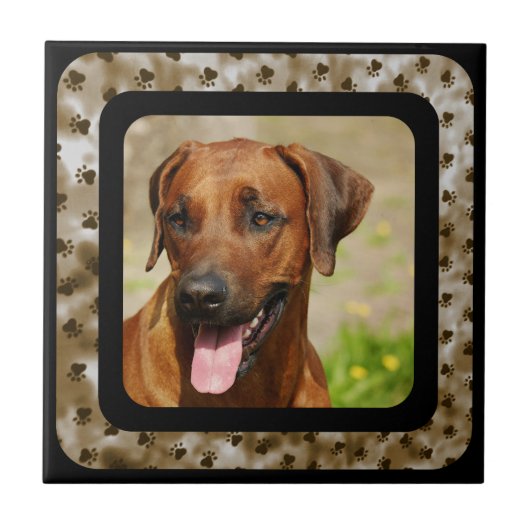RHODESIAN RIDGEBACK FLIESE (Vorderseite)