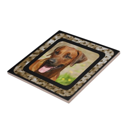 RHODESIAN RIDGEBACK FLIESE (Seite)