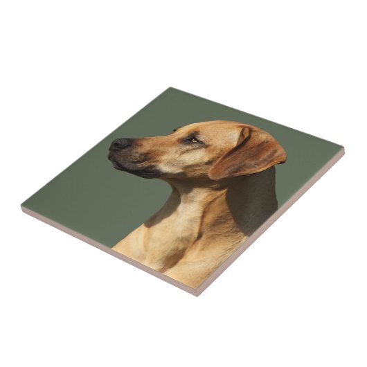 Rhodesian Ridgeback Fliese (Seite)