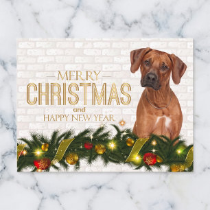 Rhodesian Ridgeback Frohe Weihnachtsfeier Neues Ja Feiertagspostkarte