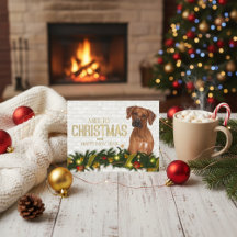 Rhodesian Ridgeback Frohe Weihnachtsfeier Neues Ja