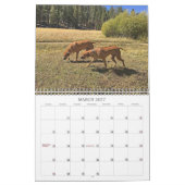 Rhodesian Ridgeback gehende Plätze Kalender-2019 Kalender (Mär 2027)