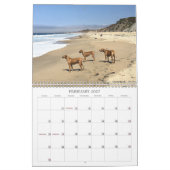 Rhodesian Ridgeback gehende Plätze Kalender-2019 Kalender (Feb 2027)