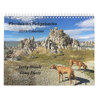 Rhodesian Ridgeback gehende Plätze Kalender-2019 Kalender