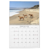 Rhodesian Ridgeback gehende Plätze Kalender-2019 Kalender (Feb 2026)
