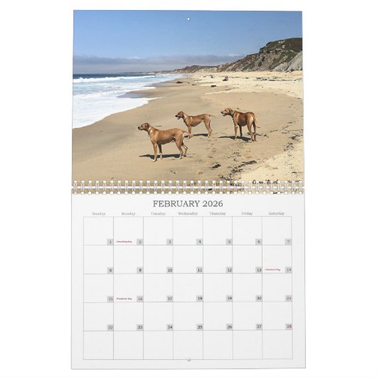 Rhodesian Ridgeback gehende Plätze Kalender-2019 Kalender (Feb 2026)
