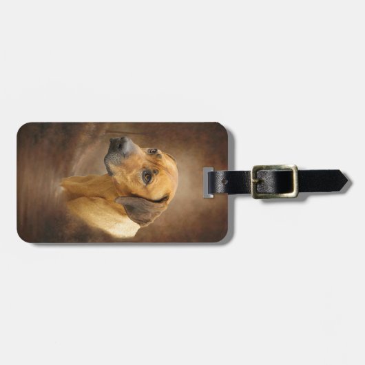 Rhodesian Ridgeback Gepäckanhänger (Vorderseite horizontal)