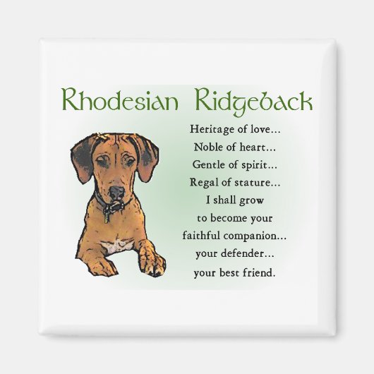 Rhodesian Ridgeback Geschenke Magnet (Vorne)