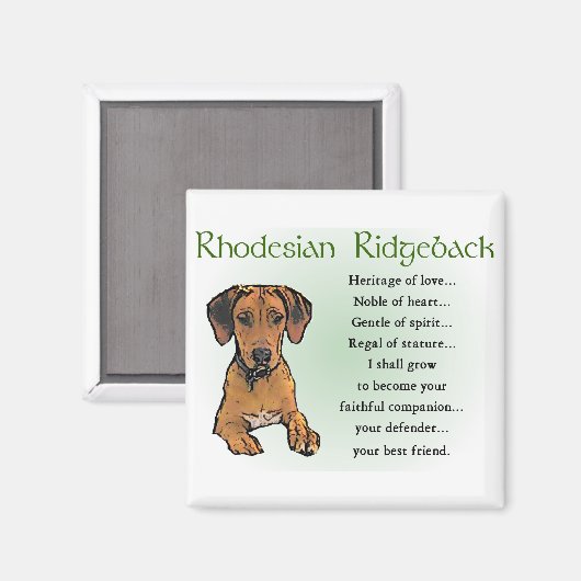Rhodesian Ridgeback Geschenke Magnet (Vorderseite/Rückseite)