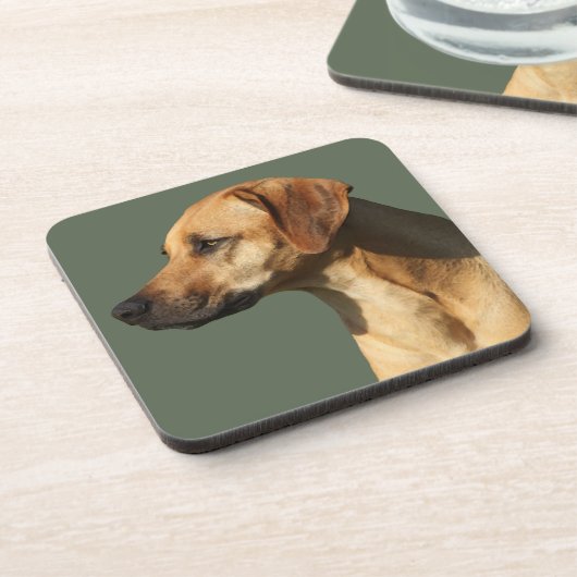 Rhodesian Ridgeback Getränkeuntersetzer (Linke Seite)