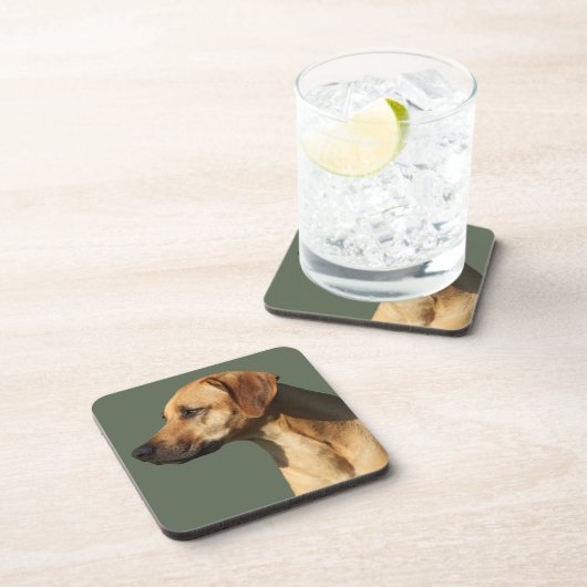 Rhodesian Ridgeback Getränkeuntersetzer (Rechte Seite)