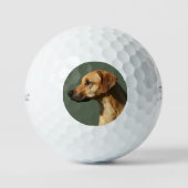 Rhodesian Ridgeback Golfball (Vorderseite)