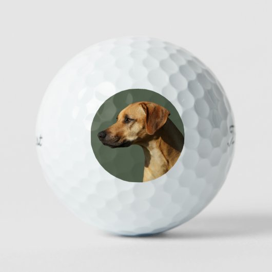 Rhodesian Ridgeback Golfball (Vorderseite)