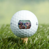 rhodesian-ridgeback-group golfball (Insitu T-Shirt)