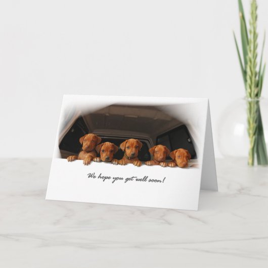 Rhodesian Ridgeback Grußkarte - erhalten Sie gut Karte (Vorderseite)