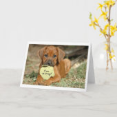 Rhodesian Ridgeback Grußkarte - ich bin traurig Karte (Gelbe Blume)