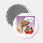Rhodesian Ridgeback Halloween Candy Magnet (Vorderseite/Rückseite)