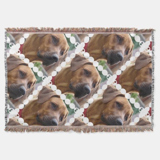 Rhodesian Ridgeback Hund Decke (Vorderseite)