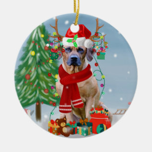 Rhodesian Ridgeback Hund in Schnee Weihnachtsgesch Keramik Ornament