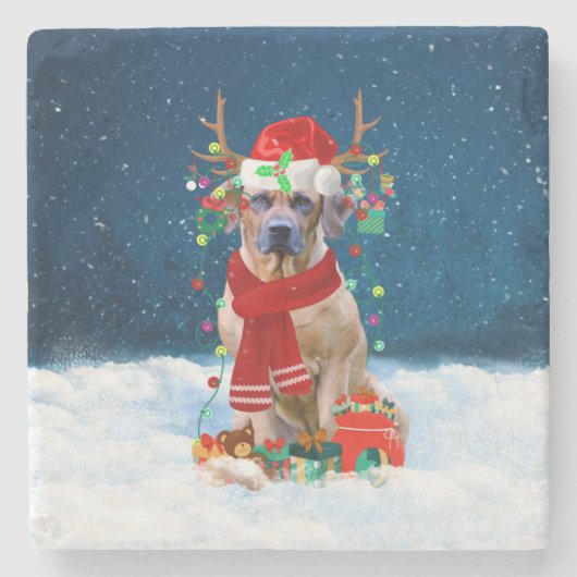 Rhodesian Ridgeback Hund in Schnee Weihnachtsgesch Steinuntersetzer (Vorderseite)