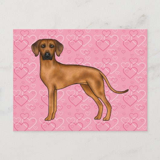 Rhodesian Ridgeback Hund Liebe Herzmuster Rosa Postkarte (Vorderseite)