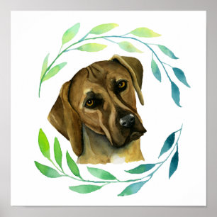 Rhodesian Ridgeback Hund mit Kranz Poster