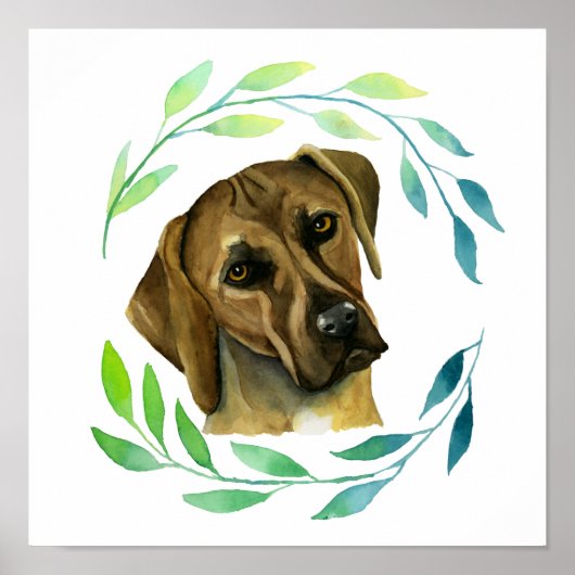 Rhodesian Ridgeback Hund mit Kranz Poster (Vorne)