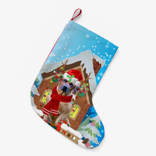 Rhodesian Ridgeback Hund mit Weihnachtsgeschenken Kleiner Weihnachtsstrumpf (Vorderansicht (hängend))