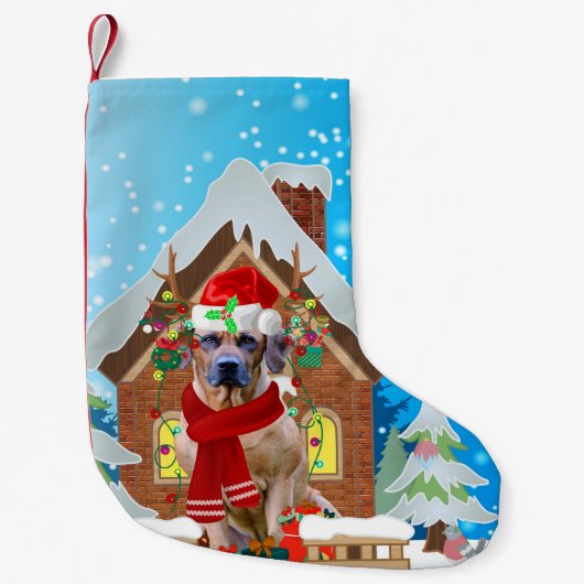 Rhodesian Ridgeback Hund mit Weihnachtsgeschenken Kleiner Weihnachtsstrumpf (Vorderseite)