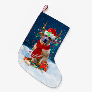 Rhodesian Ridgeback Hund mit Weihnachtsgeschenken Kleiner Weihnachtsstrumpf