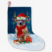 Rhodesian Ridgeback Hund mit Weihnachtsgeschenken Kleiner Weihnachtsstrumpf (Vorderseite)