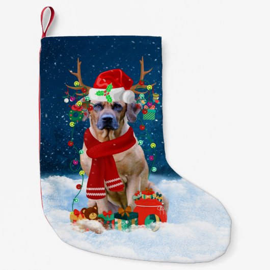 Rhodesian Ridgeback Hund mit Weihnachtsgeschenken Kleiner Weihnachtsstrumpf (Vorderseite)