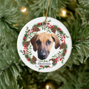 Rhodesian Ridgeback Hund Personalisiertes Tier Orn Keramik Ornament