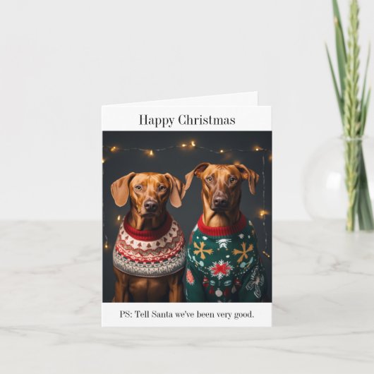 Rhodesian Ridgeback Hunde Glückliche Weihnachtskar Karte (Vorderseite)