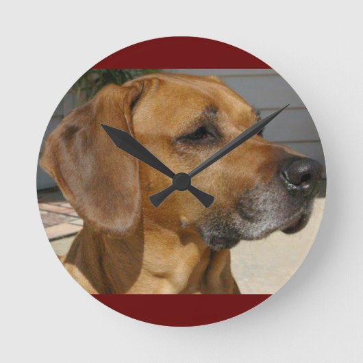 RHODESIAN RIDGEBACK Hunde Rasse Haustier Runde Wanduhr (Vorderseite)
