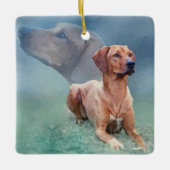 Rhodesian Ridgeback Hundecollage Keramikornament (Vorderseite)