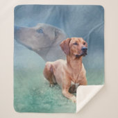 Rhodesian Ridgeback Hundecollage Sherpadecke (Vorderseite)