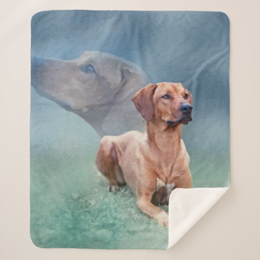 Rhodesian Ridgeback Hundecollage Sherpadecke (Vorderseite)
