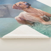 Rhodesian Ridgeback Hundecollage Sherpadecke (3/4)