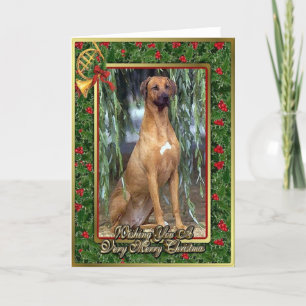 Rhodesian Ridgeback Hunderaum-Weihnachtskarte Feiertagskarte