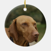 Rhodesian Ridgeback Hundeverzierung Keramik Ornament (Hinten)