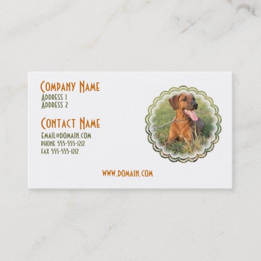 Rhodesian Ridgeback HundeVisitenkarte Visitenkarte (Vorderseite)