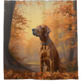 Rhodesian Ridgeback im Herbstfall Inspiriert Duschvorhang (Vorderseite)